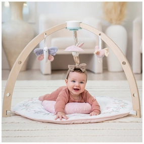 Aden   Anais Play   Discover Baby Activity Gym, Ma Fluer