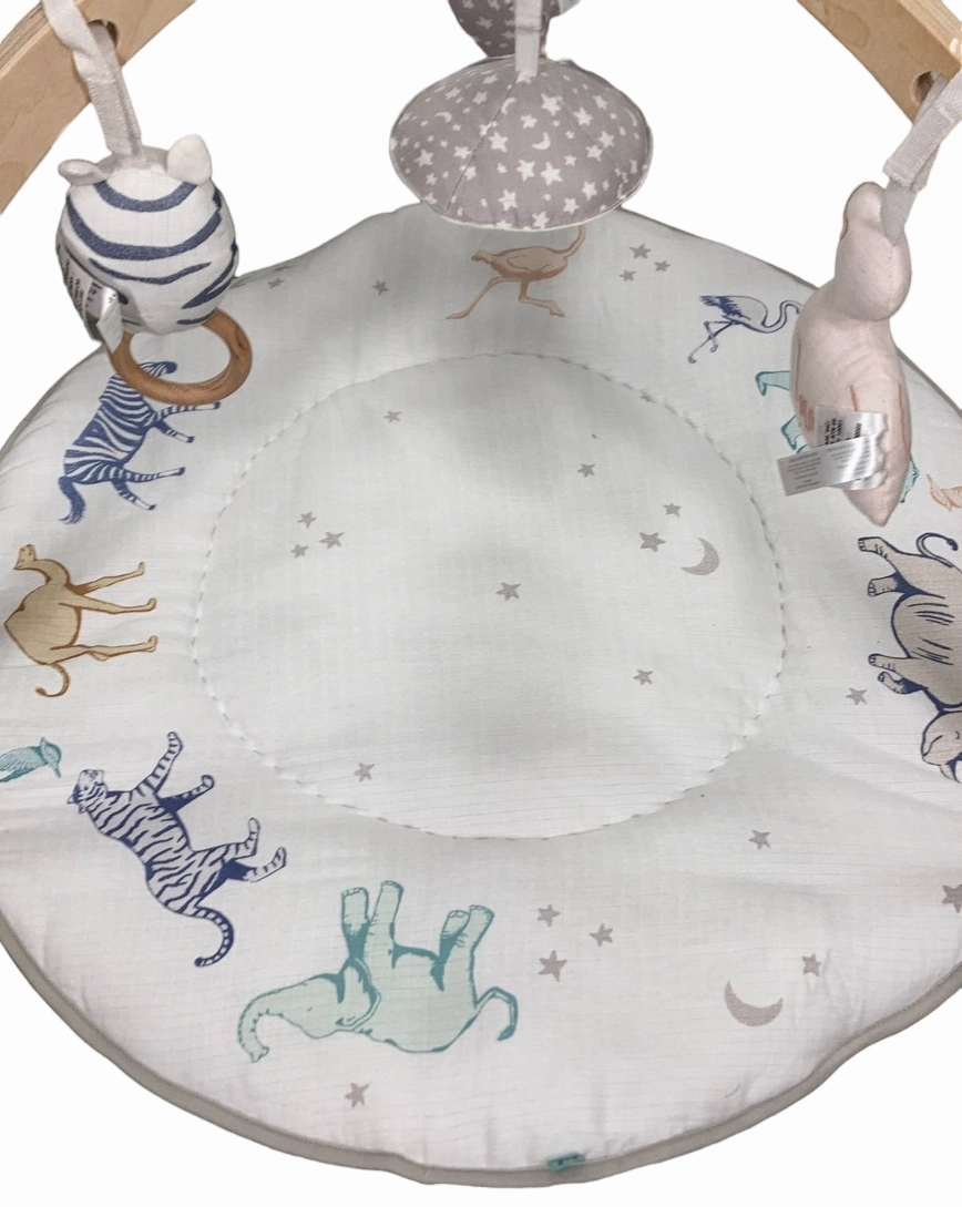 Aden   Anais Play   Discover Baby Activity Gym, Rising Star
