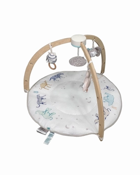 Aden   Anais Play   Discover Baby Activity Gym, Rising Star