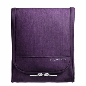 Ricardo Beverly Hills Packing 10" Organizer Travel Essentials 2.0