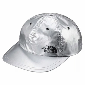 Supreme The North Face Metallic 6-Panel Silver